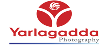 Yarlagadda Photography