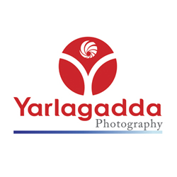 Yarlagadda Photography